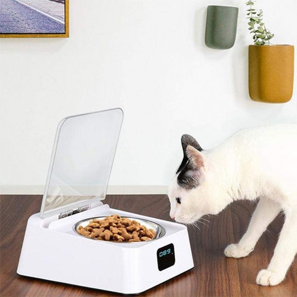 Infrared Sensor Automatically Opens Cover Cat and Dog Feeder Smart Pet Food Bowl_1