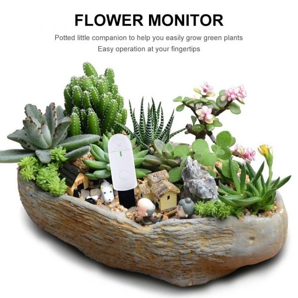 Smart Sensor Plant Flower Hydroponics Analyzer and Detector_8