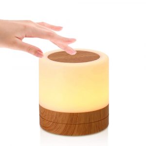 USB Charging Portable Remote Controlled Touch Lamp Night Light