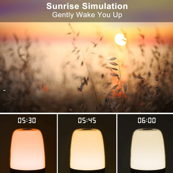 Dimmable Bedside Touch Night Light with Alarm Clock Function_10