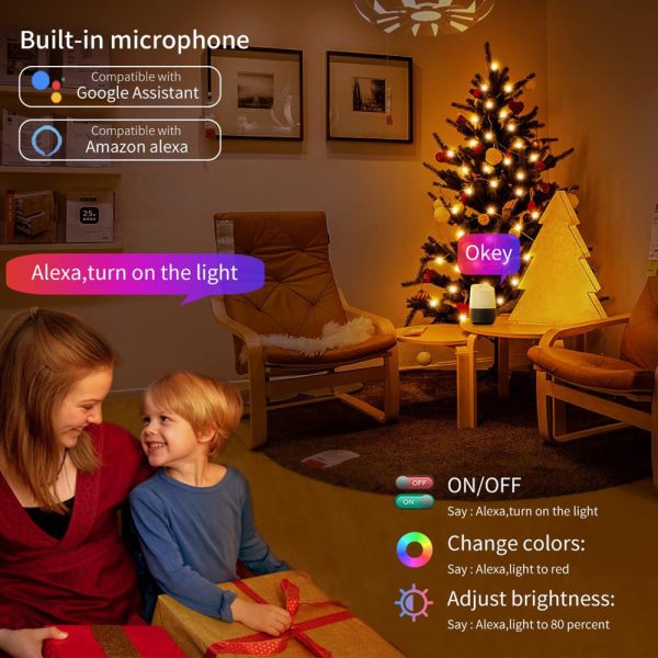 USB Interface Remote and APP Controlled LED Holiday String Lights_17
