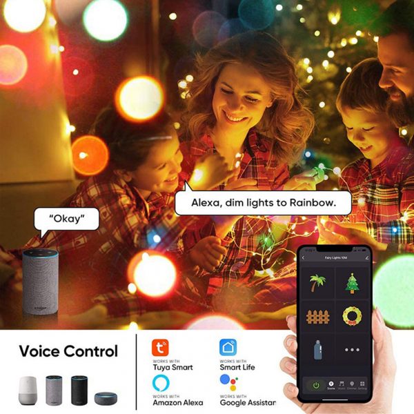 USB Interface Remote and APP Controlled LED Holiday String Lights_18