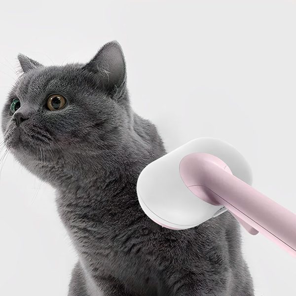 Self-Cleaning Slicker Brush Pet Grooming Brush with Massager_4