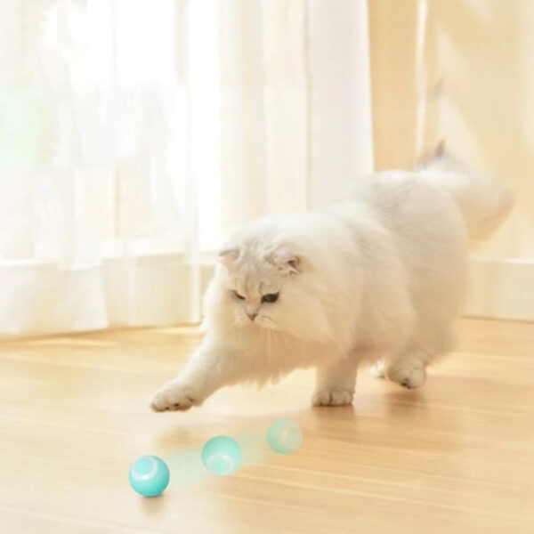 360° Rotating Hunting Kitten Toy with LED Light- USB Rechargeable_9