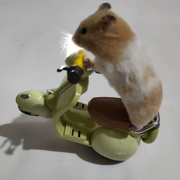 360° Rotating Pet Stunt Motorcycle Toy Battery-Powered_10