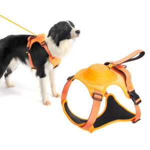 Ultimate 2-in-1 Reflective No-Pull Dog Harness with Retractable Leash and Control Handle