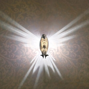 3D Resin Animal Statue and Wall Lamp Home Decoration- Battery Operated